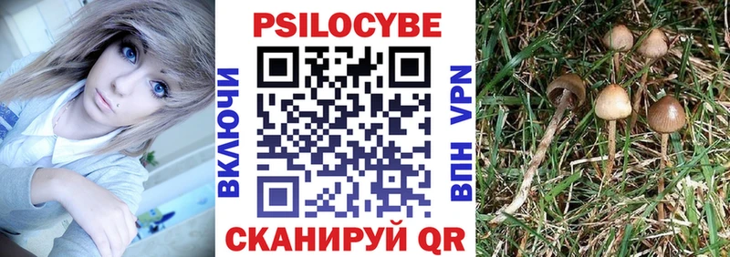 Псилоцибиновые грибы MAGIC MUSHROOMS  кракен зеркало  Куса 
