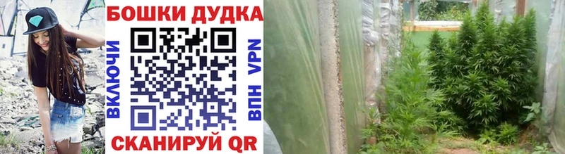 Марихуана Bruce Banner  как найти   Куса 